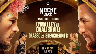 UFC 306: O'Malley vs Dvalishvili 9/14/24